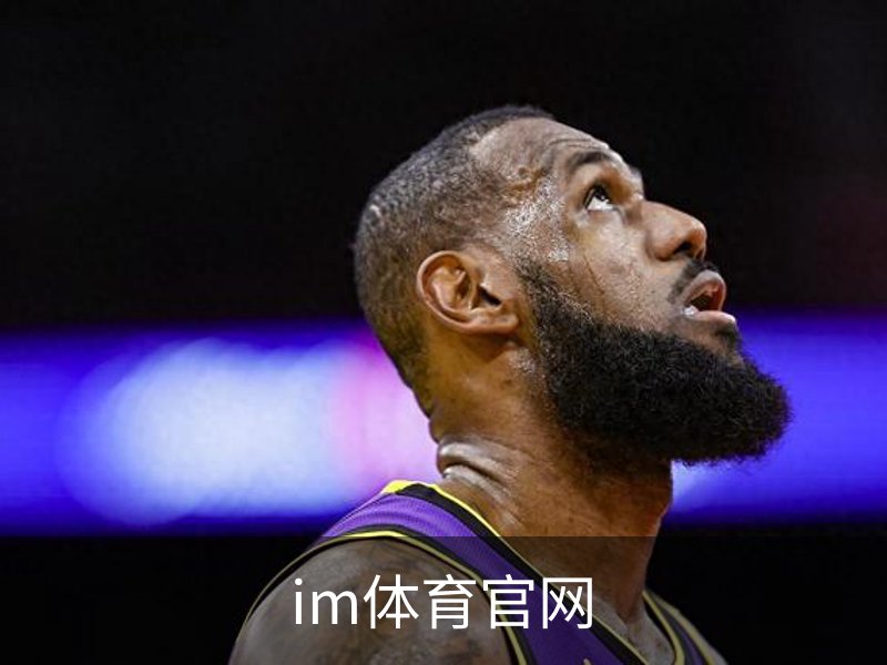 im体育官网简介